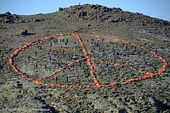 Un immense signe de paix formé par des gilets de sauvetage